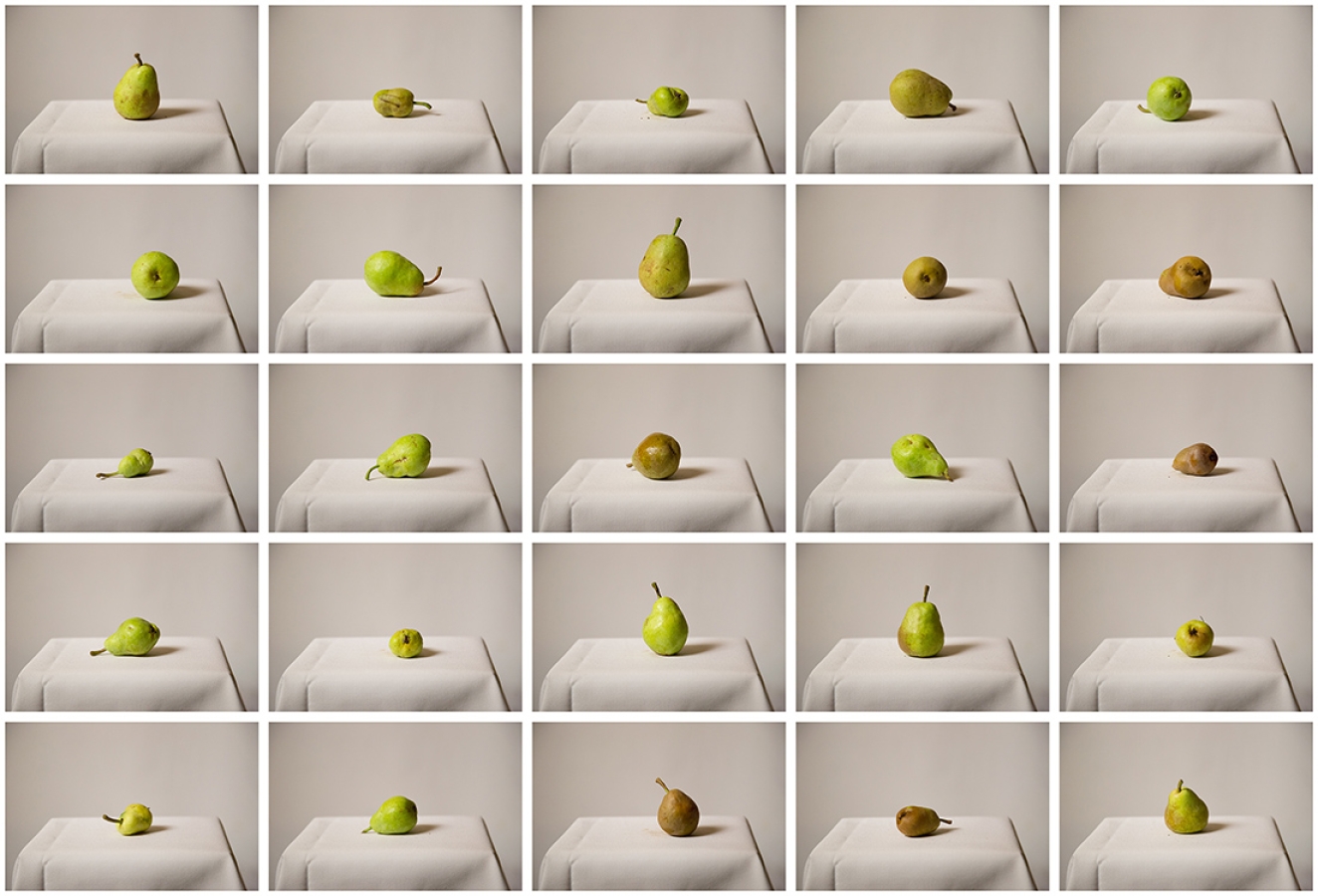 https://mail.bryanhutchison.com/bryanhutchison.com/indexhibit/files/gimgs/th-10_ContactSheet-020_750.jpg