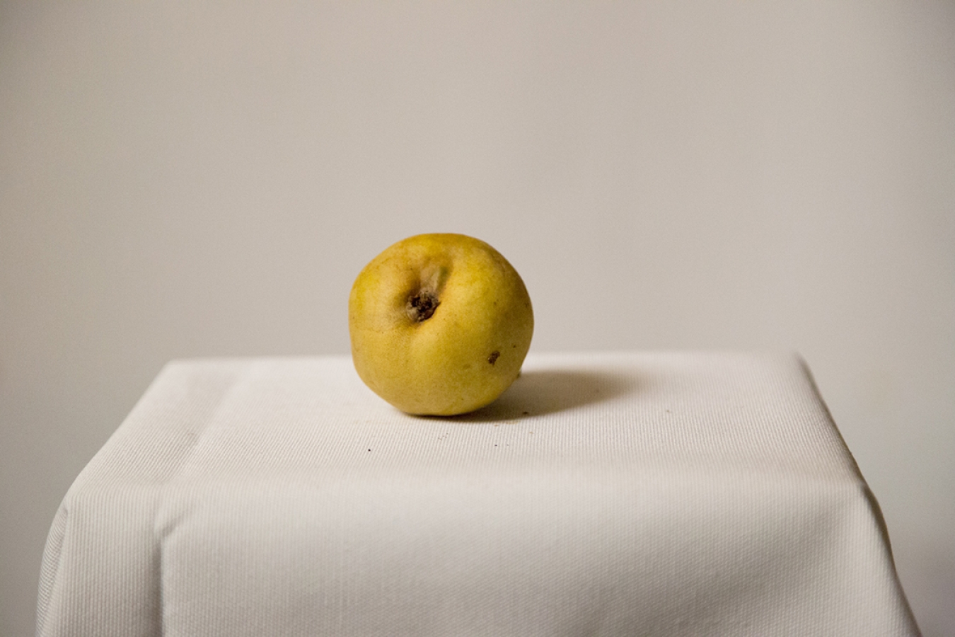 https://mail.bryanhutchison.com/bryanhutchison.com/indexhibit/files/gimgs/th-10_pear-.jpg