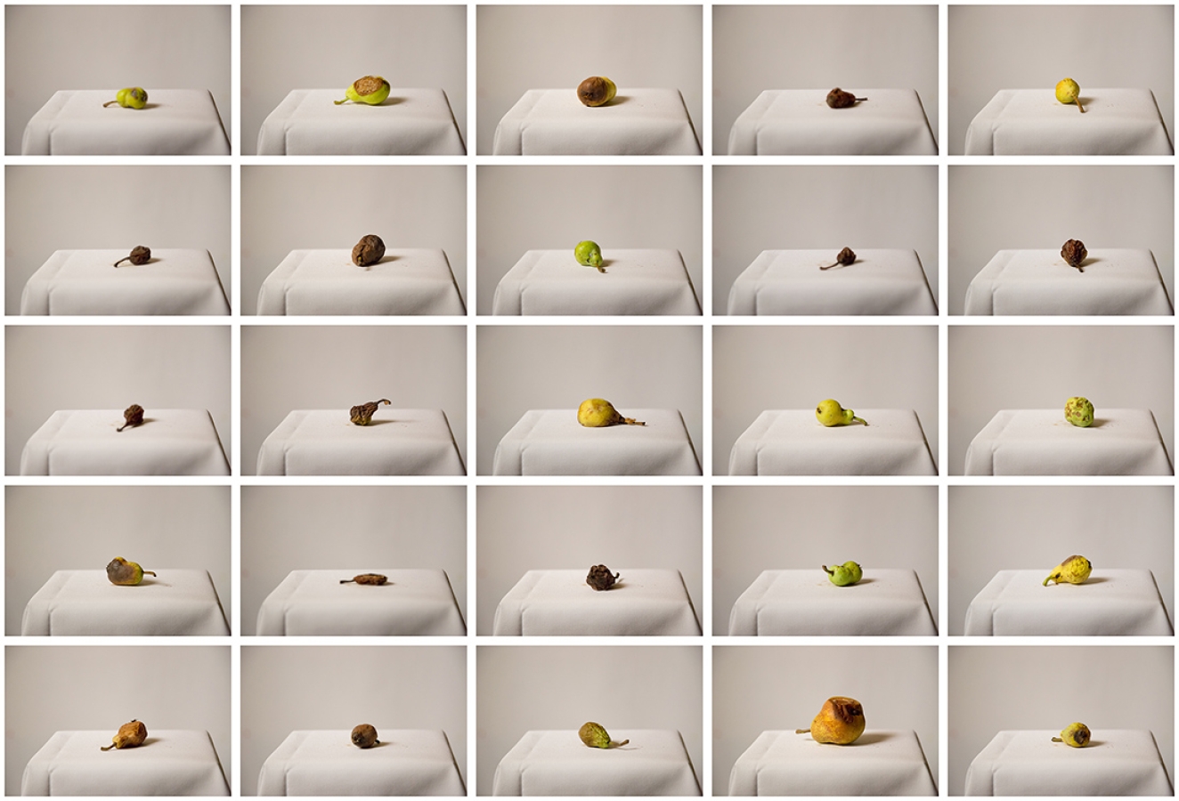 https://mail.bryanhutchison.com/bryanhutchison.com/indexhibit/files/gimgs/th-10_ContactSheet-025_750.jpg